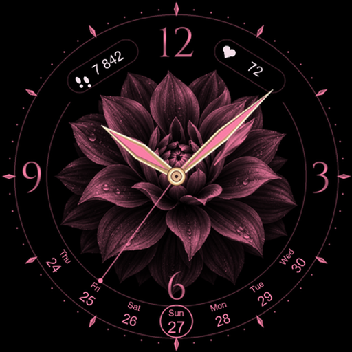 PPANK Wear OS watch face 5
